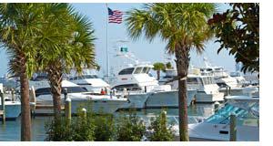 Large Boats in a Marina